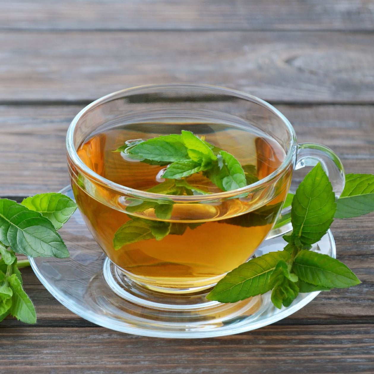 Peppermint Specialty Tea